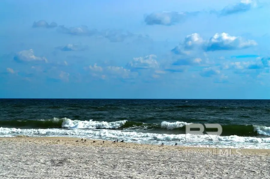 957 West Beach Boulevard #1301, Gulf Shores, AL 36542 - #2