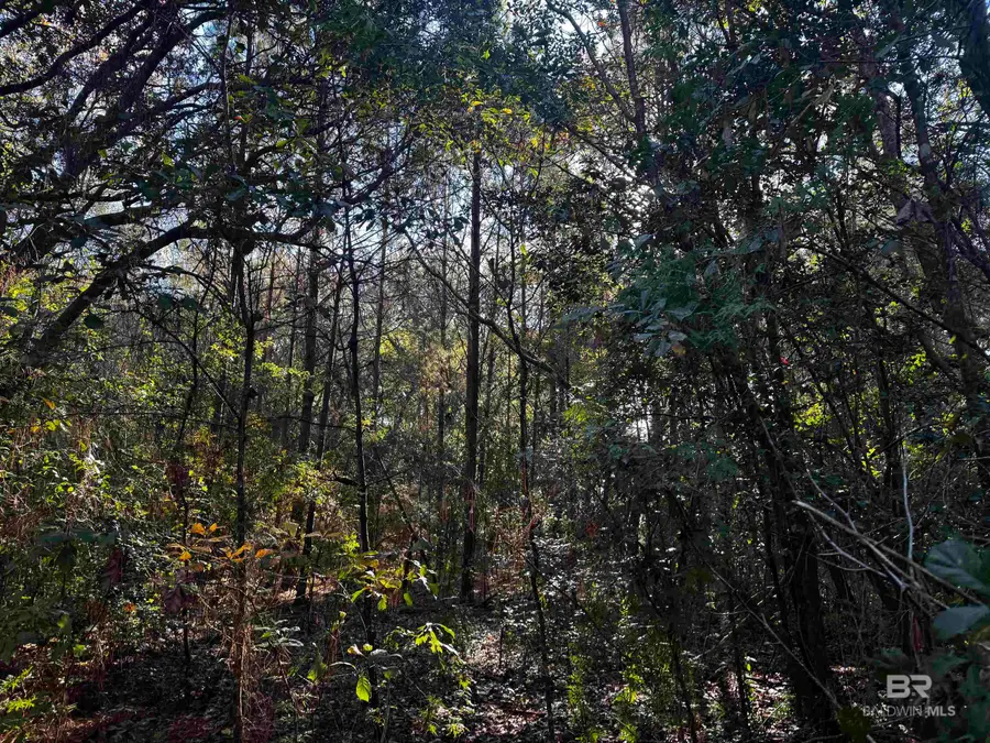 0 Baptiste Drive, Theodore, AL 36582 - Image #2