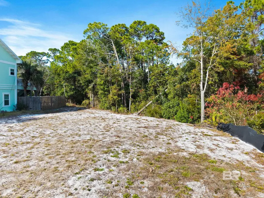 4143 Harbor Road, Orange Beach, AL 36561 - #2