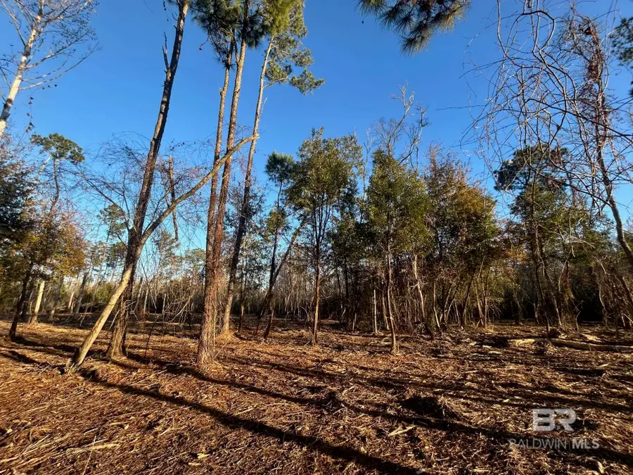 0 County Road 32, Summerdale, AL 36580 - Image #2