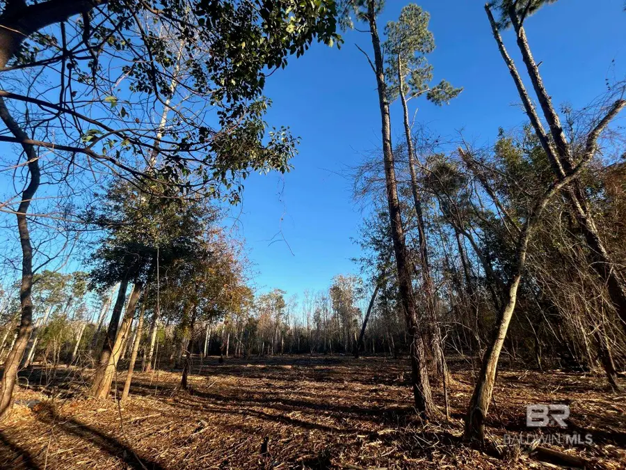 0 County Road 32, Summerdale, AL 36580 - Image #3