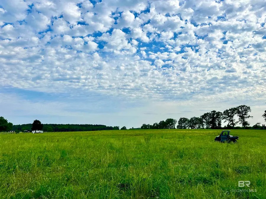 26635 Highway 41, Range, AL 36473 - Image #3