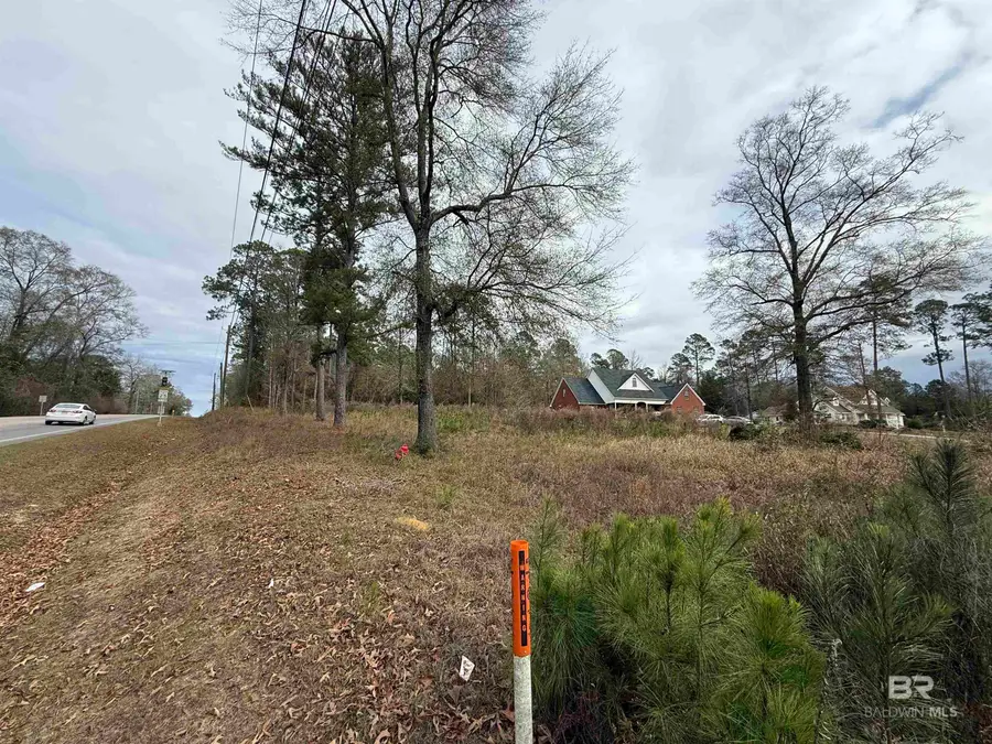 0 Tesone Boulevard, Brewton, AL 36426 - Image #3