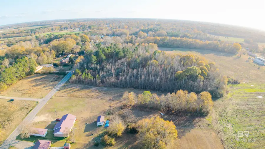0 N 8th Avenue, Atmore, AL 36502 - Image #3