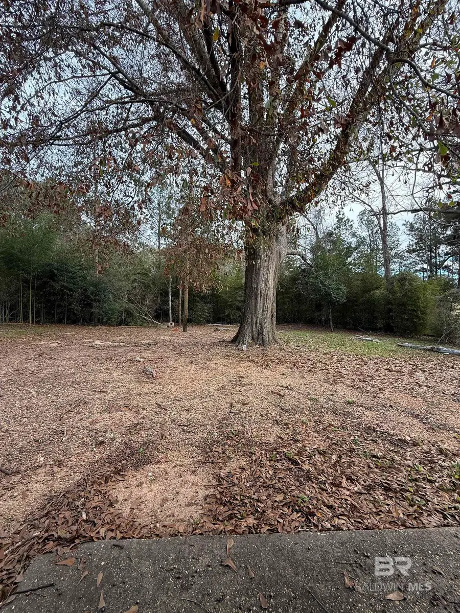 205 Knoxville Road, Evergreen, AL 36401 - Image #2