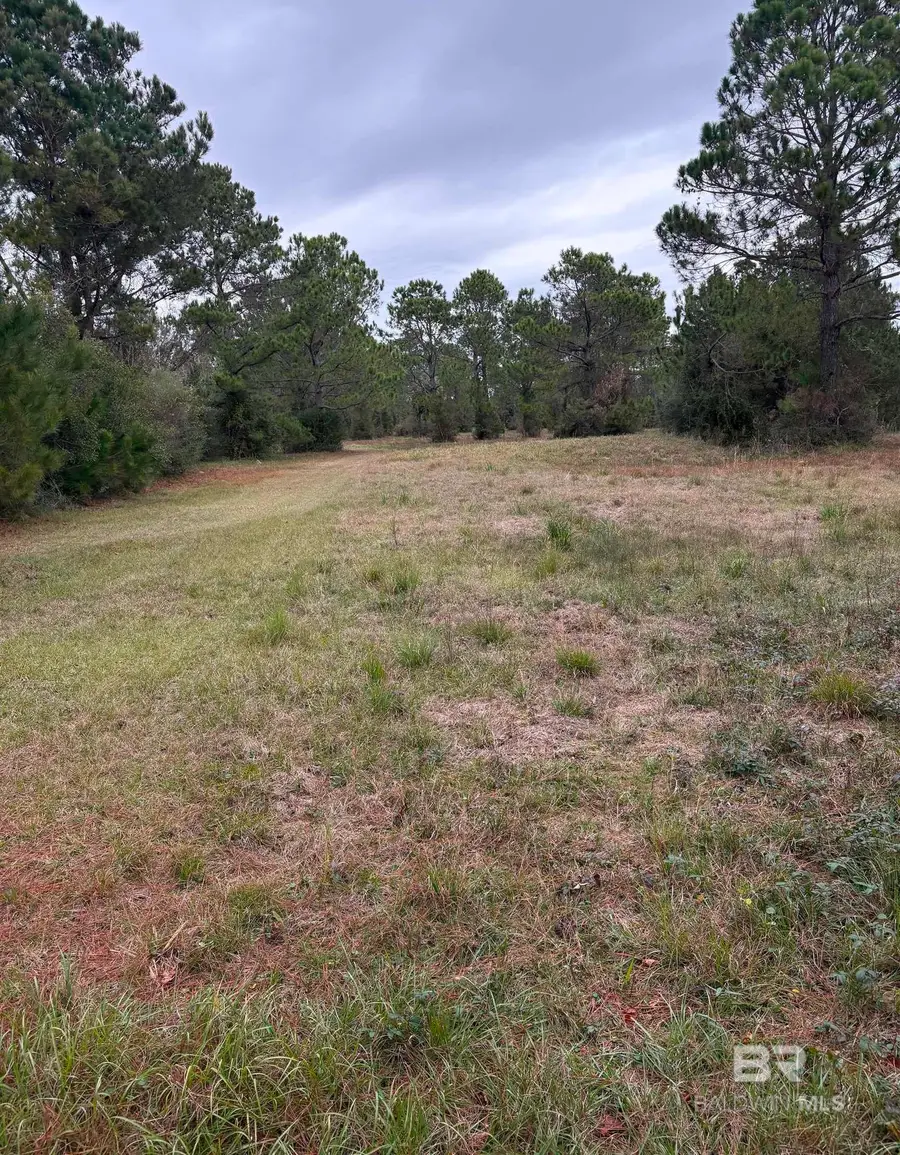 31849 Randolf Avenue, Lillian, AL 36549 - Image #2