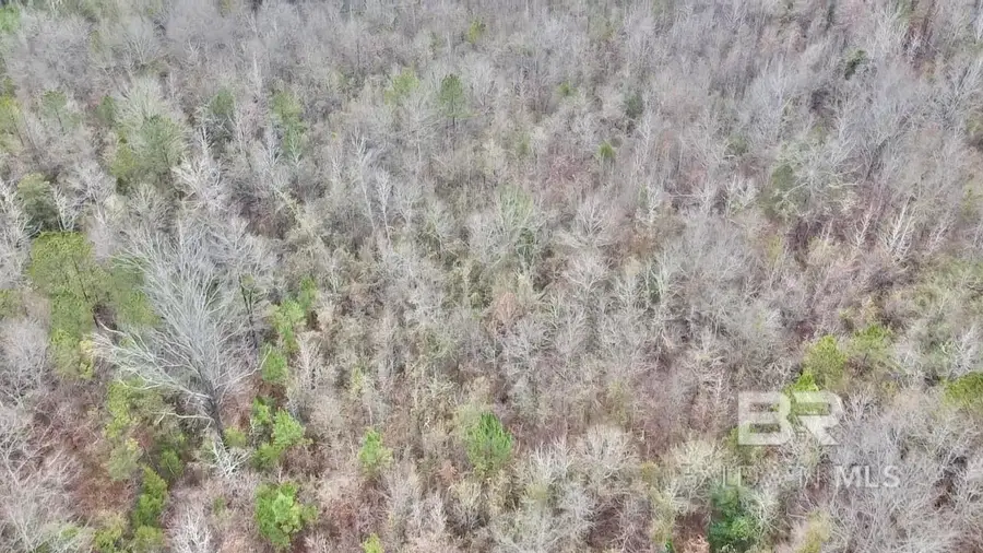 21000 Block Highway 21, Beatrice, AL 36425 - #3