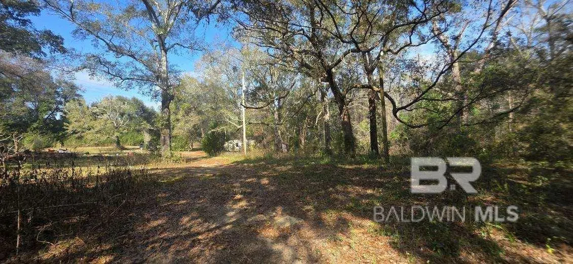 0 Oakleigh Drive, Loxley, AL 36551 - Image #1