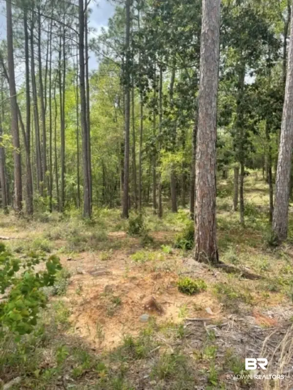 0 Elderberry Drive, Daphne, AL 36526