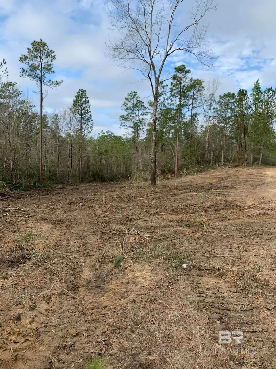 0 Jimmy Faulkner Drive, Spanish Fort, AL 36527 - Image #2