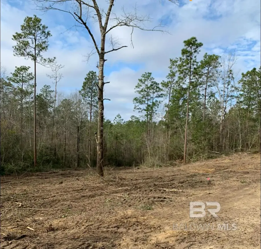 0 Jimmy Faulkner Drive, Spanish Fort, AL 36527 - Image #3