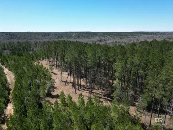 10 Robinsonville Road, Atmore, AL 36502