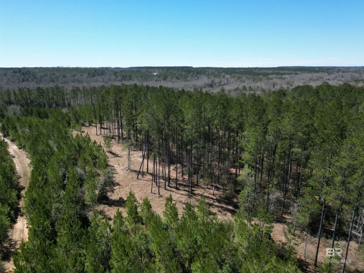 9 Robinsonville Road, Atmore, AL 36502 - Image #1