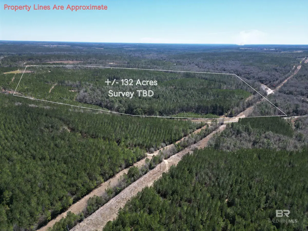 00 Robinsonville Road, Atmore, AL 36502 - Image #1