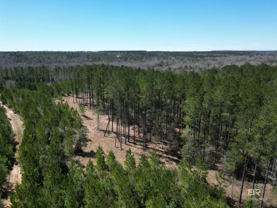 00 Robinsonville Road, Atmore, AL 36502 - Image #2