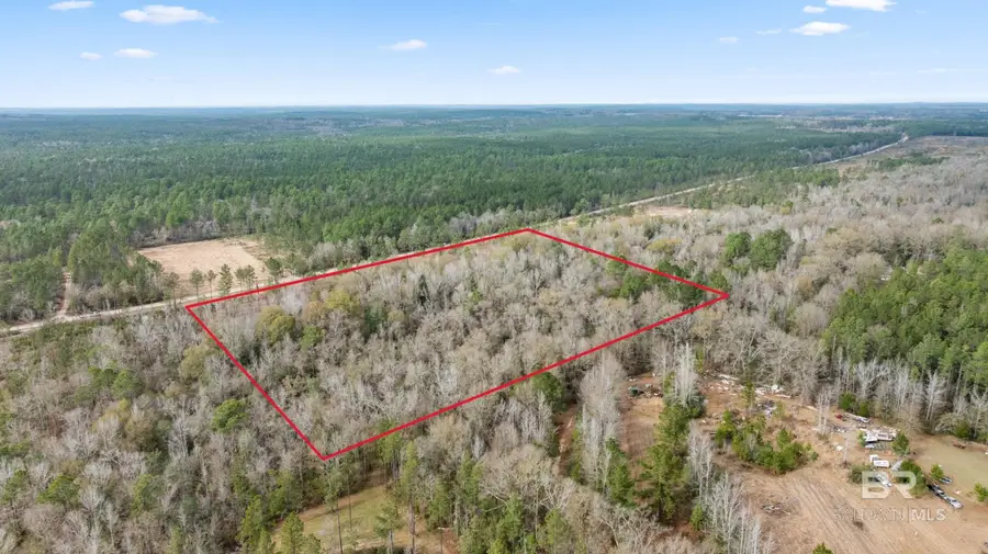 0 Lottie Road, Atmore, AL 36502 - #3