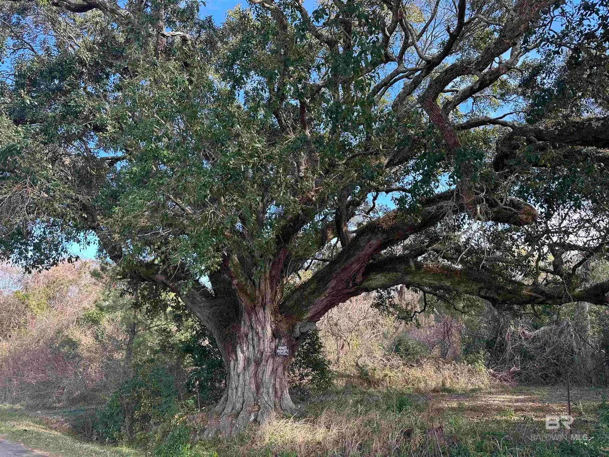 26702 W County Road 54, Daphne, AL 36526 - Image #1