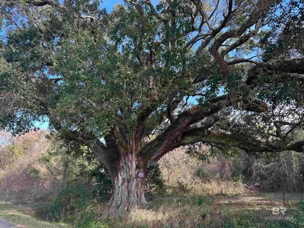 26702 W County Road 54, Daphne, AL 36526