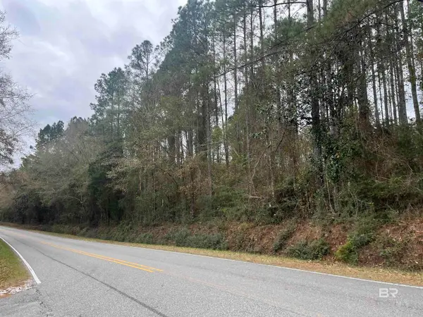 3000 Block N Pine Barren Road, McDavid, FL 32568