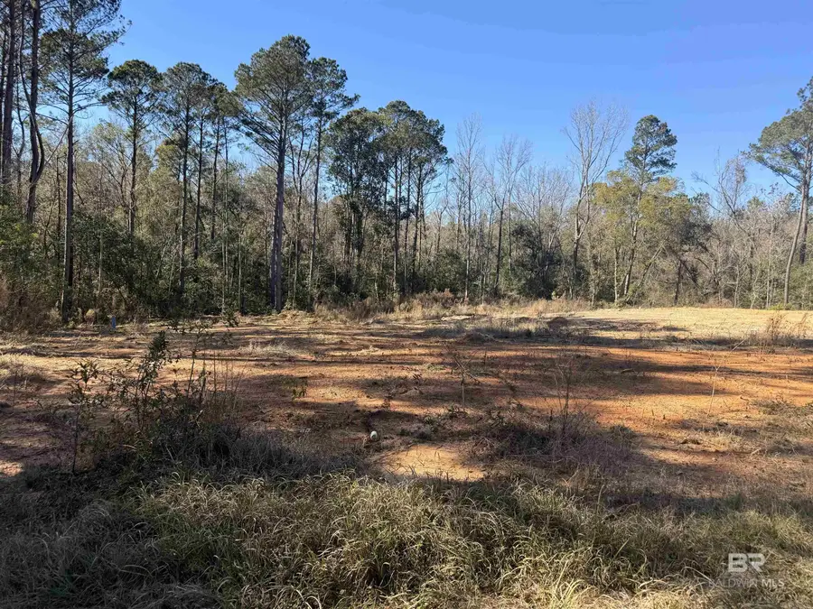 24979 Friendship Road, Daphne, AL 36526 - Image #3