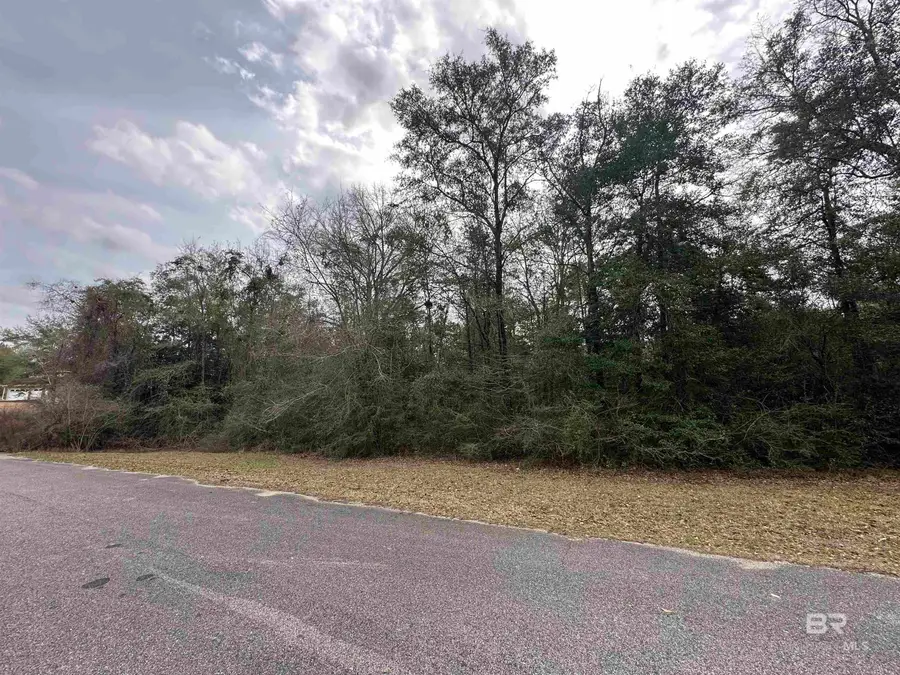 0 Timber Springs Drive, Wilmer, AL 36587 - #3