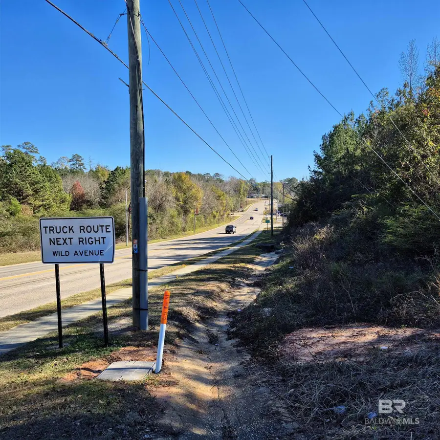 0 Liberty Hill Drive, Evergreen, AL 36401 - Image #2