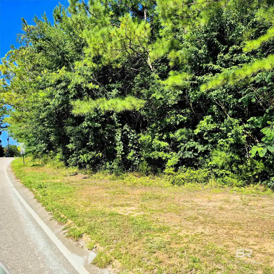 0 Liberty Hill Drive, Evergreen, AL 36401 - Image #3