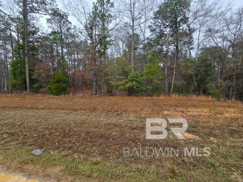 0 County Road 14, Range, AL 36473 - Image #1