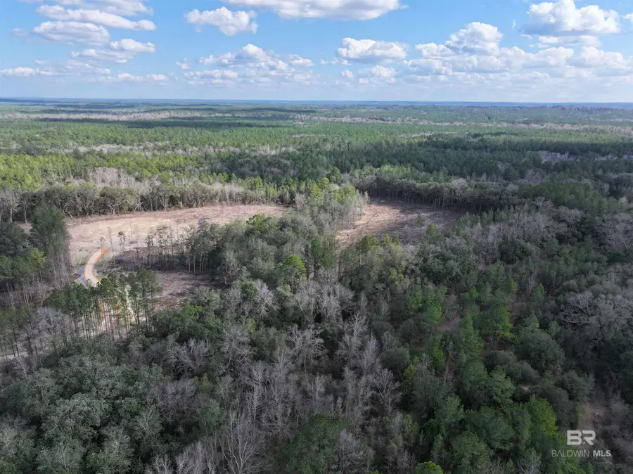 0 Kirkland Road, Brewton, AL 36426 - Image #3