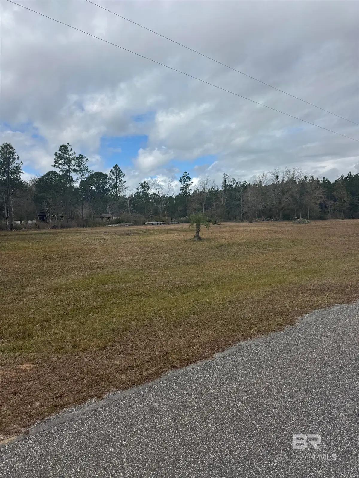 36080 Rester Avenue, Lillian, AL 36549 - Image #1