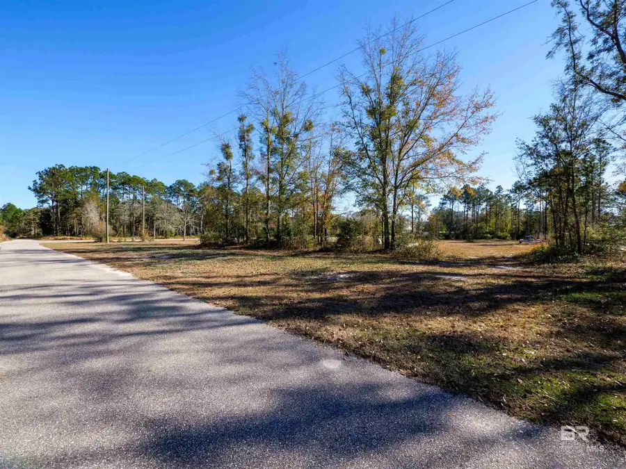 0 Rester Avenue, Lillian, AL 36549 - #3