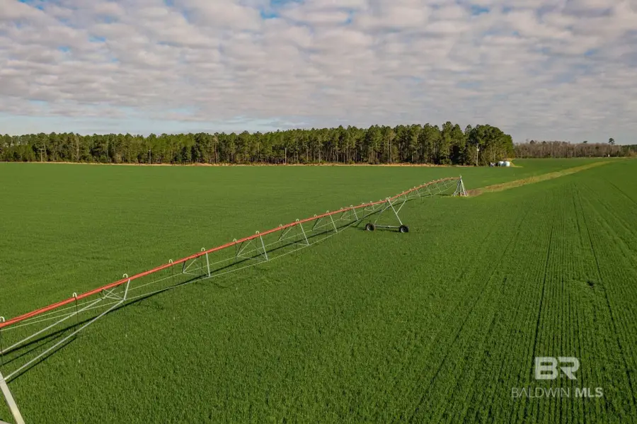 0000 County Road 91, Elberta, AL 36530 - Image #2