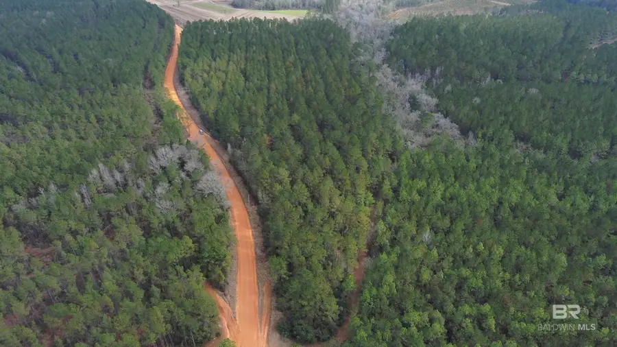 0 Griggers Road, Robertsdale, AL 36567 - Image #2