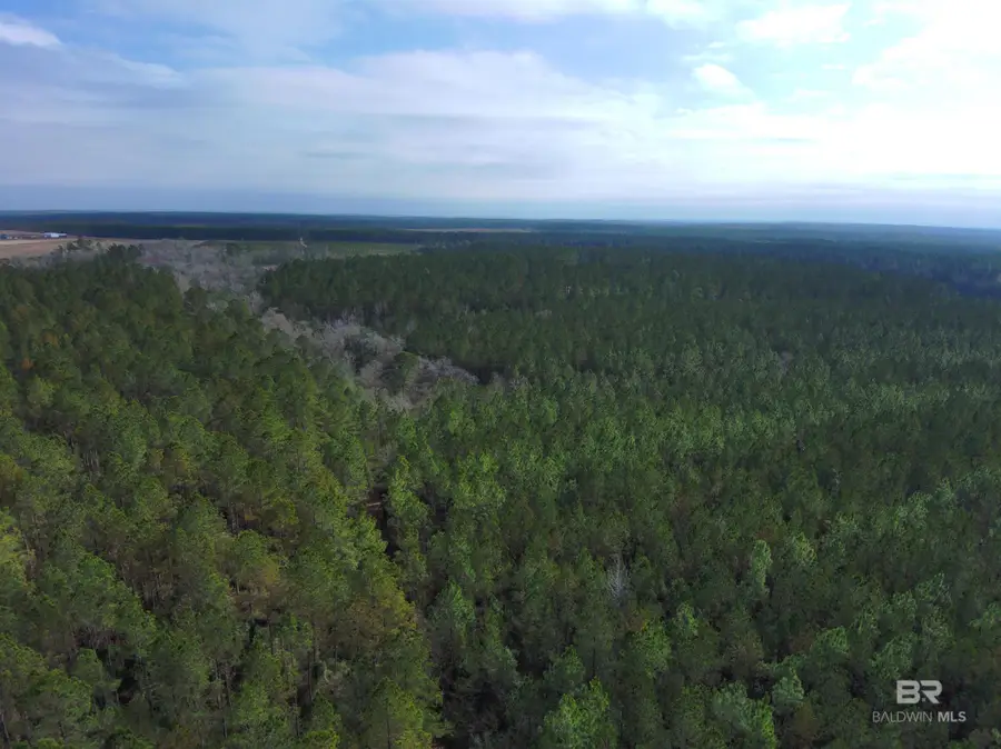 0 Griggers Road, Robertsdale, AL 36567 - Image #3