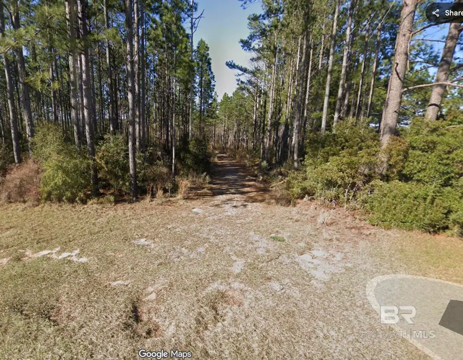 28067 New Hope Church Road, Robertsdale, AL 36567 - Image #2