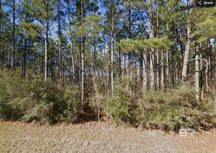 28067 New Hope Church Road, Robertsdale, AL 36567 - Image #3