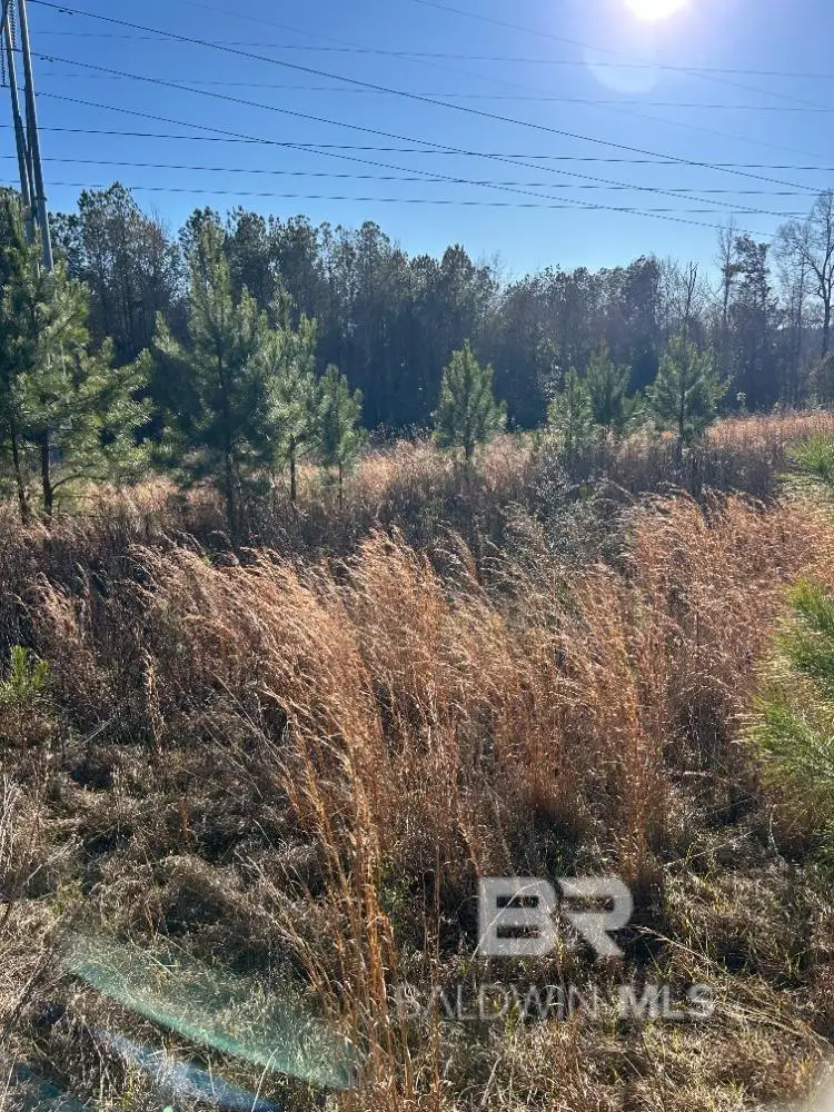 0 W Hwy 84, Evergreen, AL 36401 - #2