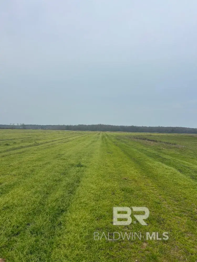 0 Butler Street, Atmore, AL 36502 - #1
