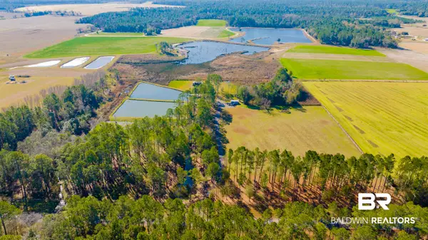22210 Pastoral Lane, Foley, AL 36535