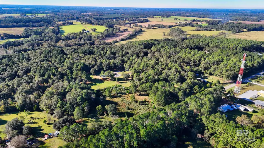 21742 County Road 64, Robertsdale, AL 36567 - Image #2