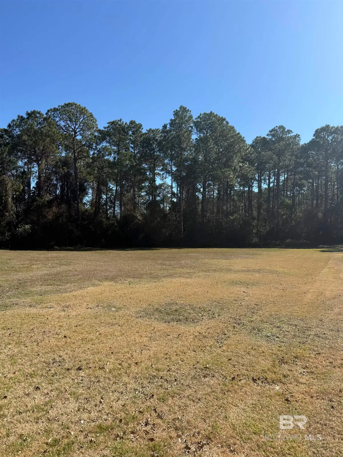 22483 Beaver Creek Lane, Orange Beach, AL 36561 - Image #1