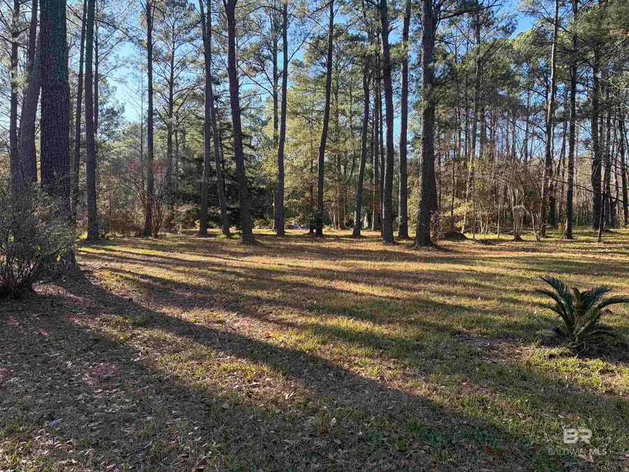 0 Venice Court, Mobile, AL 36605 - Image #2