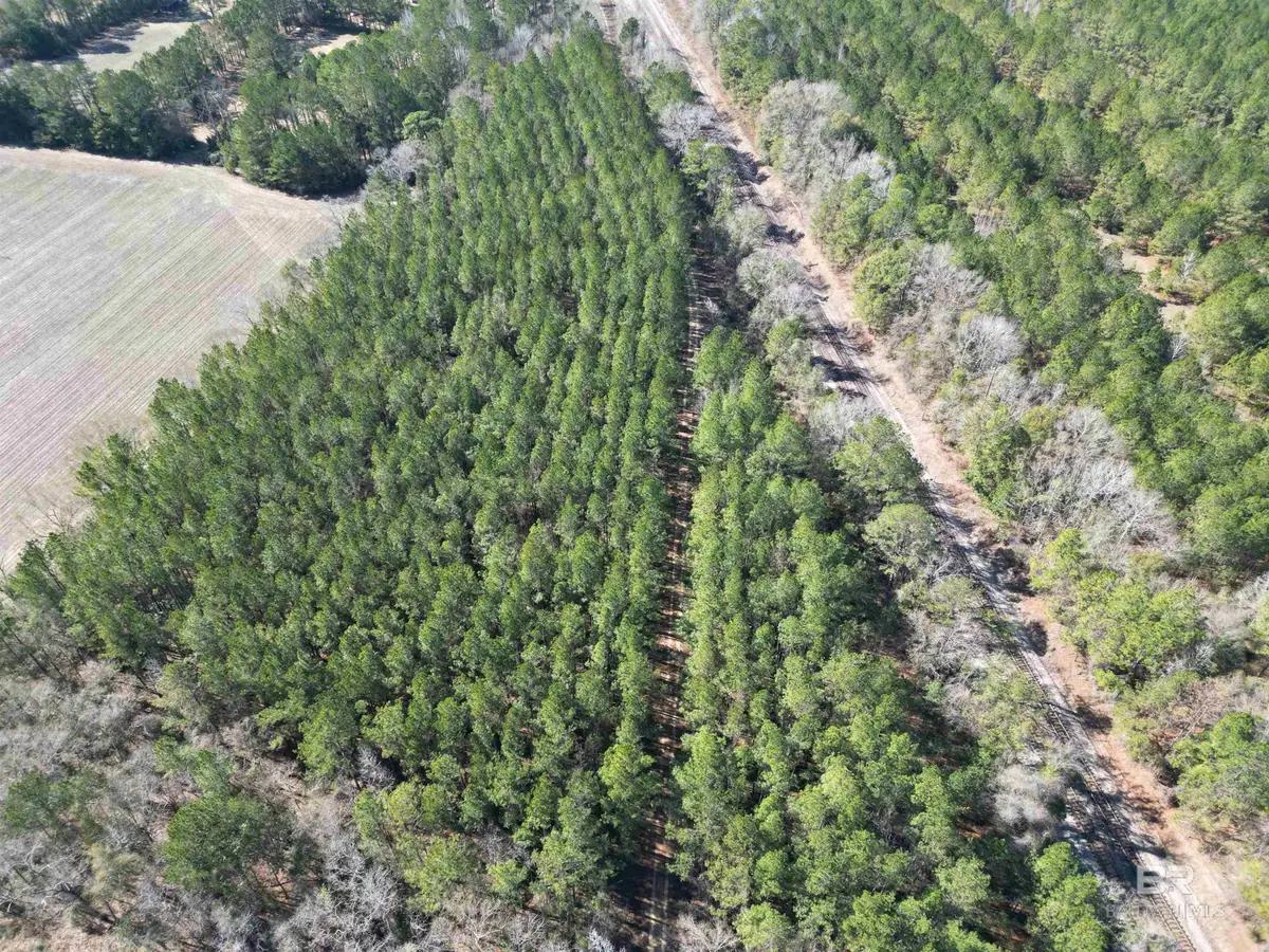 01 Clifton Road, Flomaton, AL 36441 - Image #1