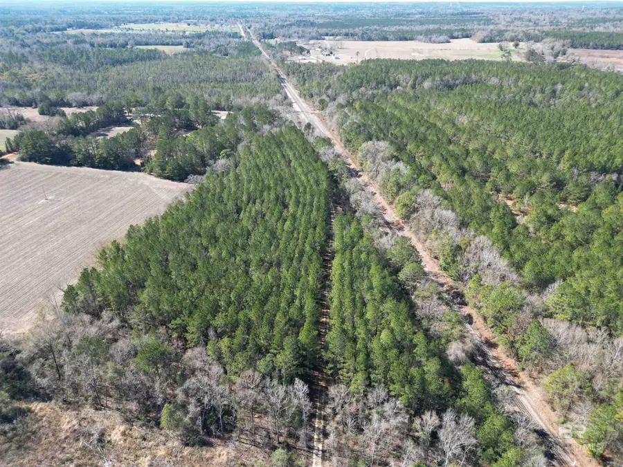 01 Clifton Road, Flomaton, AL 36441 - Image #2