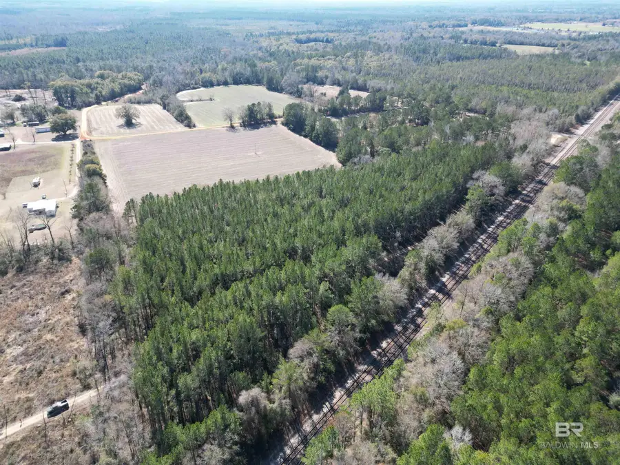 01 Clifton Road, Flomaton, AL 36441 - Image #3