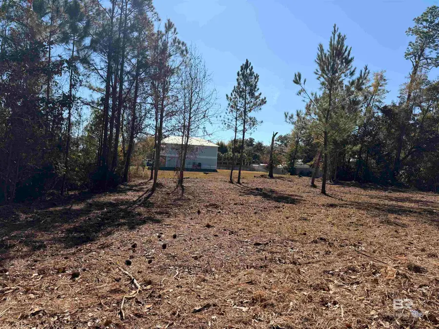 5306 Pine Road, Orange Beach, AL 36561 - Image #2