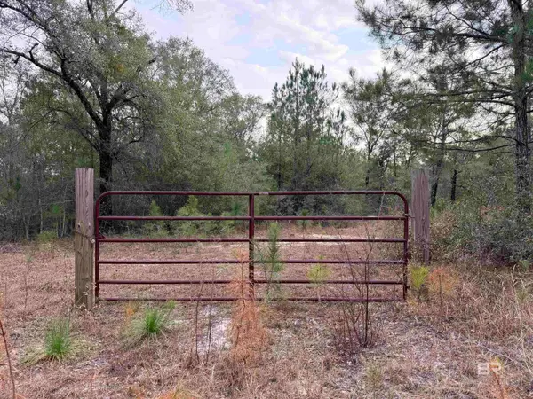 9325 N Georgetown Hills Road, Wilmer, AL 36587