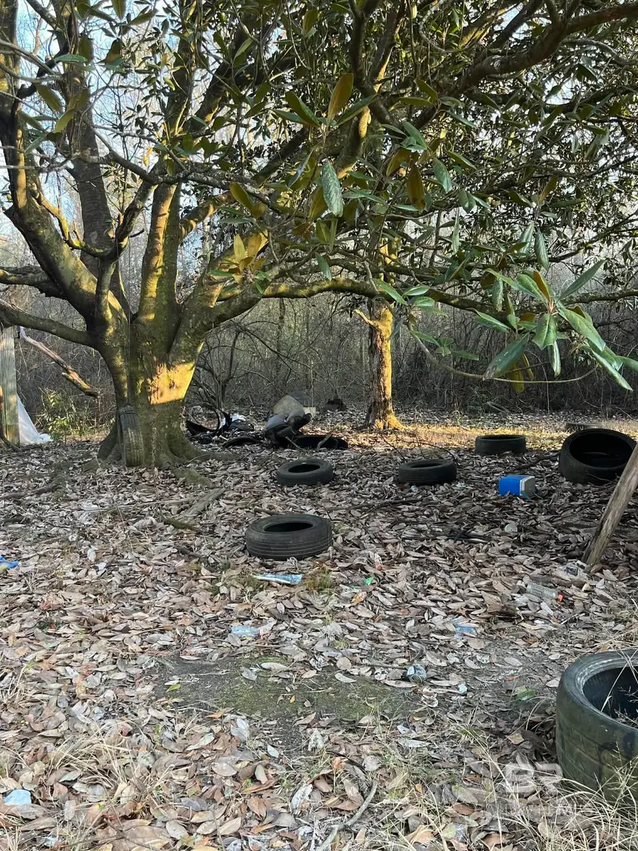 807 Daphne Road, Bay Minette, AL 36507 - #3