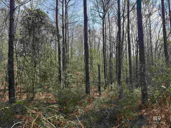 00 Highway 41, Range, AL 36473