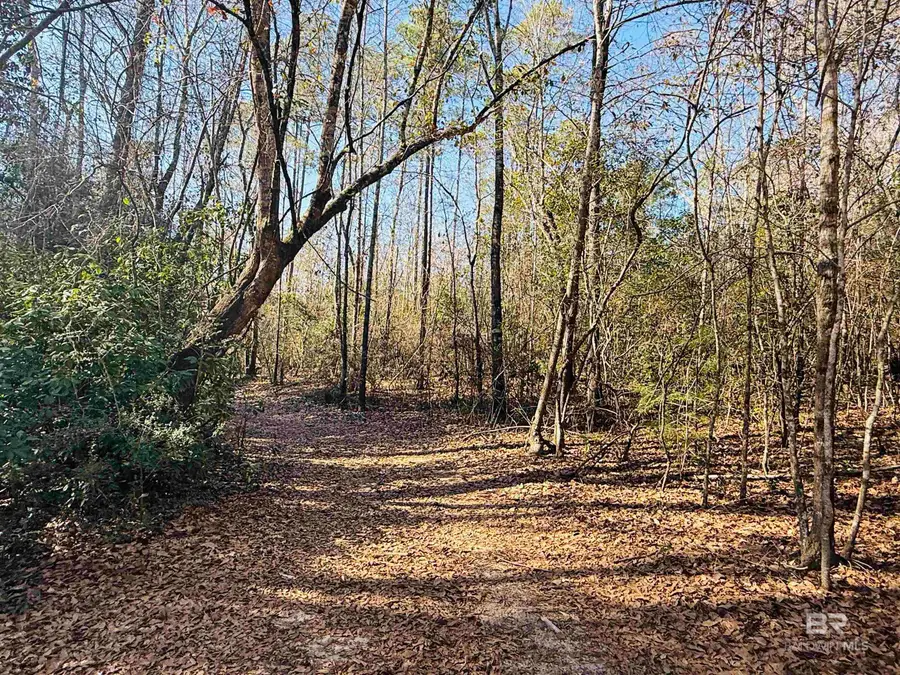 01 Cowpen Creek Road, Atmore, AL 36502 - #2
